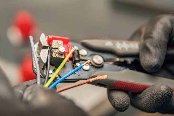 Best Electric Panel Repair  in Goodrich, MI