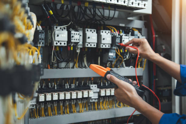 Best Home Electrical Repair  in Goodrich, MI