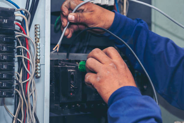 Best Electrical Rewiring Services  in Goodrich, MI